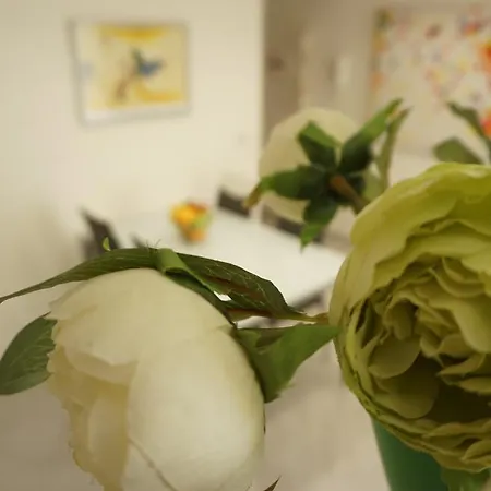 Dante - Centro 公寓 *