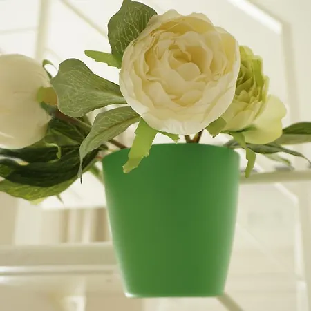 Dante - Centro 巴里